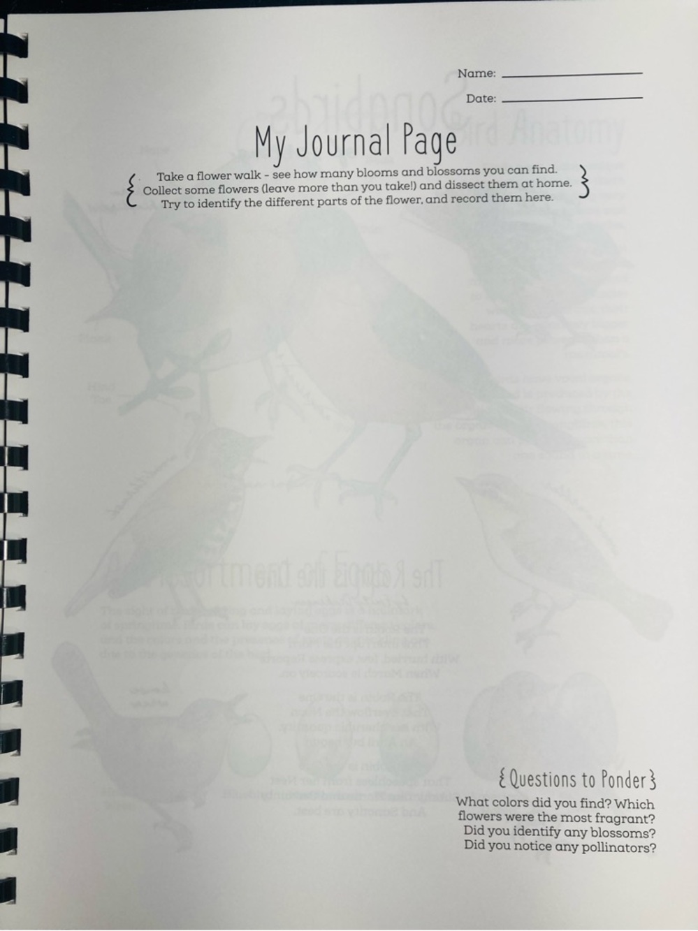 NEW The Seasons Nature Journal The Wild Child’s … 2021 Natalie McCatty - Picture 10 of 14